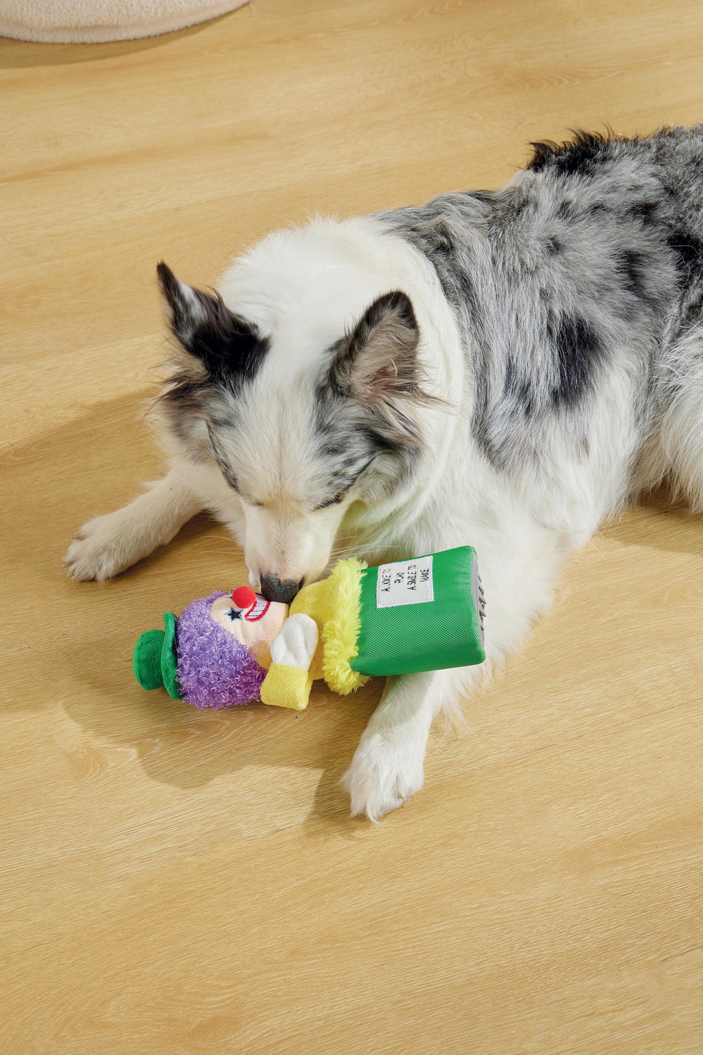 Joyful Snack Attack Dog Toy - Pipo