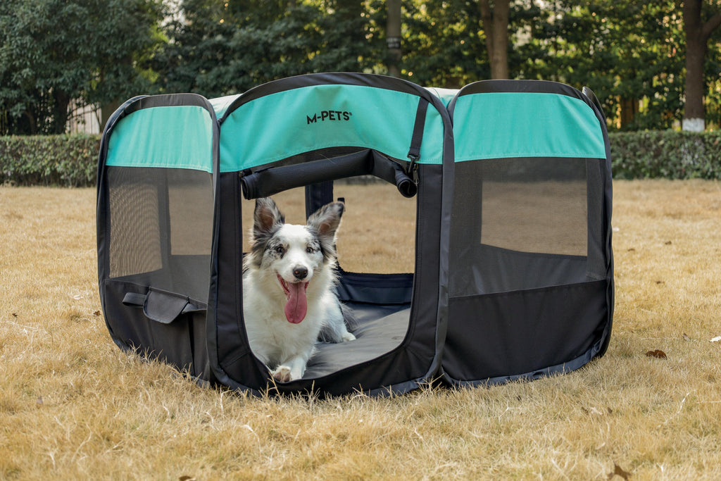 Octagon Puppy Pen - Black & Green