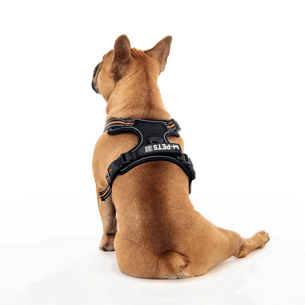 HIKING Harness Orange