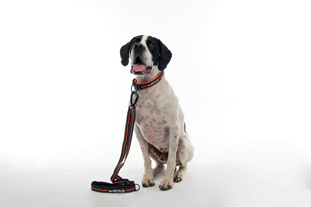 HIKING Leash Orange