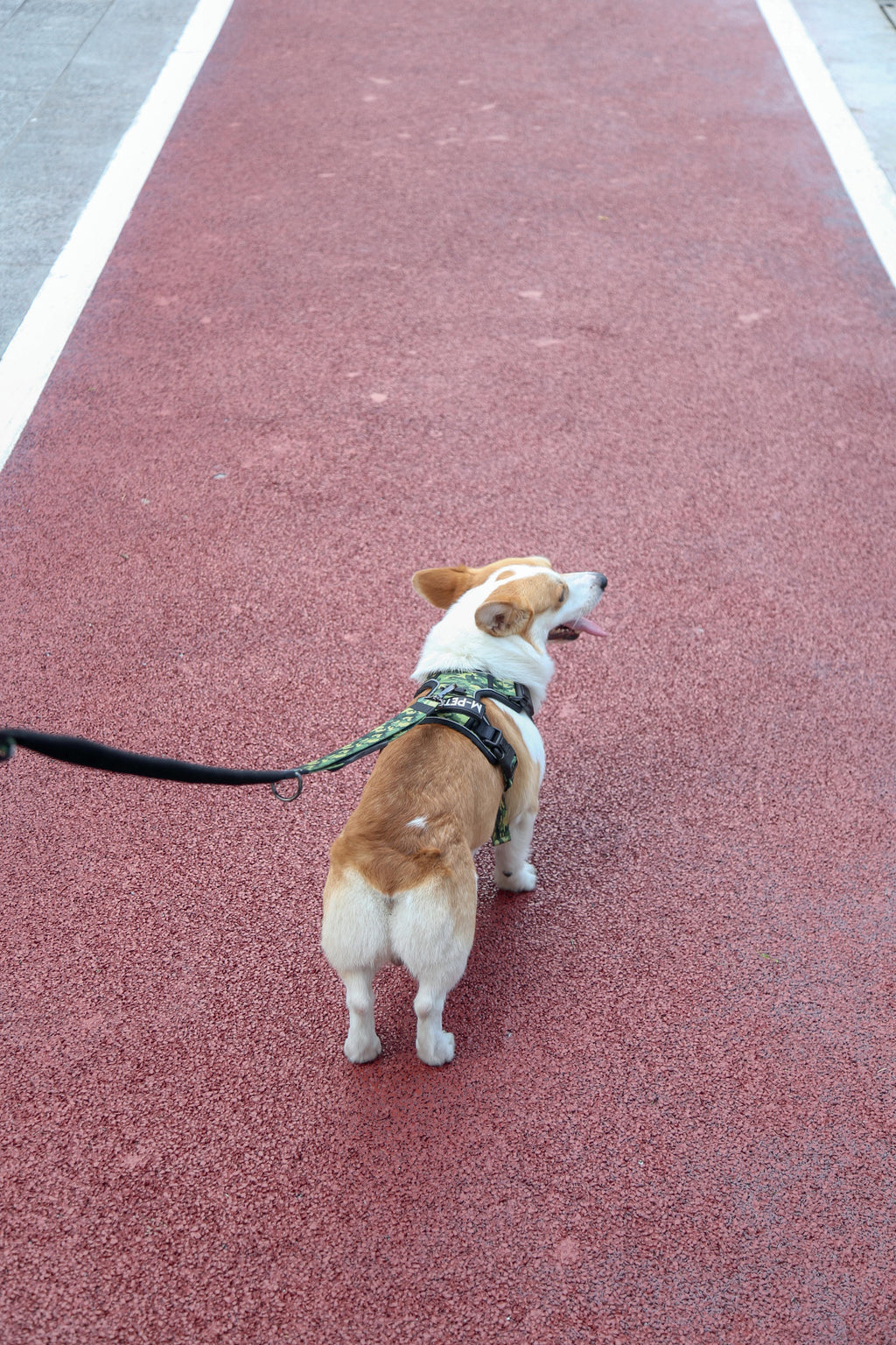 Harnais de randonnée camouflage