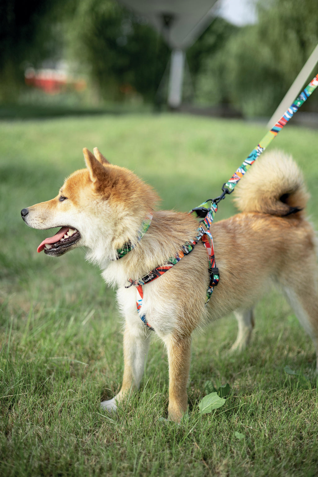 URBAN STYLE Freestyle Harness