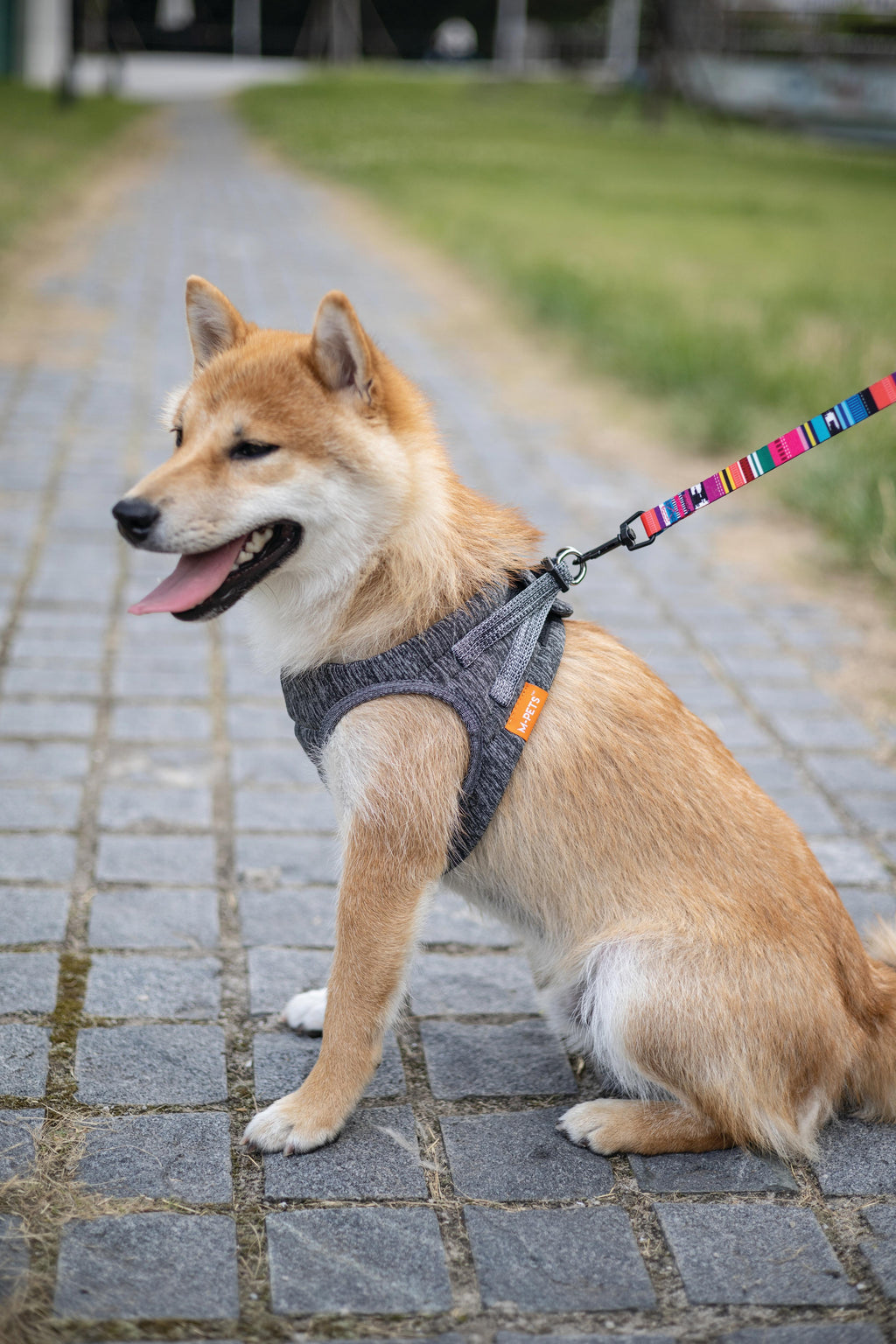 URBAN STYLE Jazz Stripes Leash