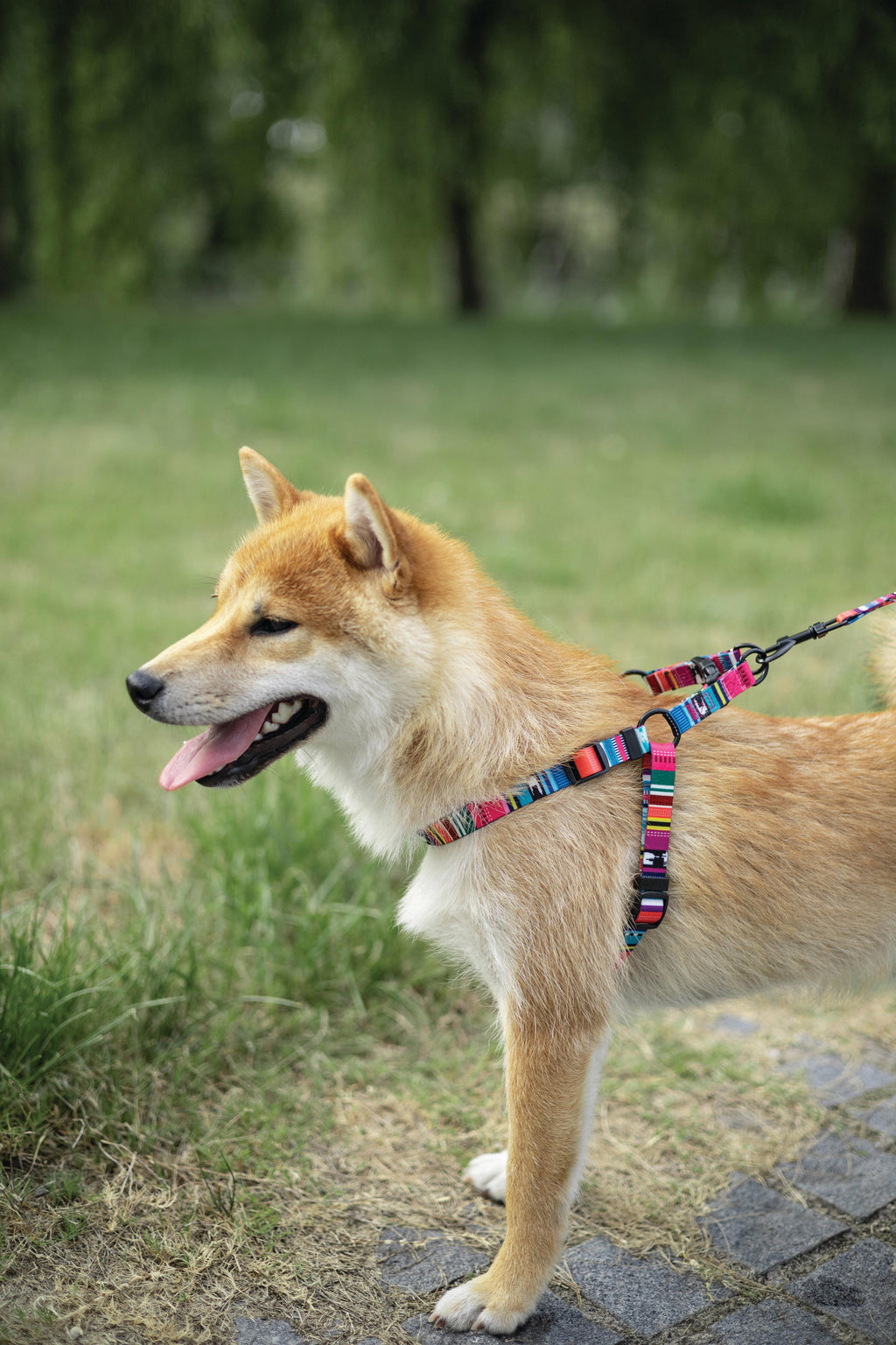 URBAN STYLE Jazz Stripes Harness
