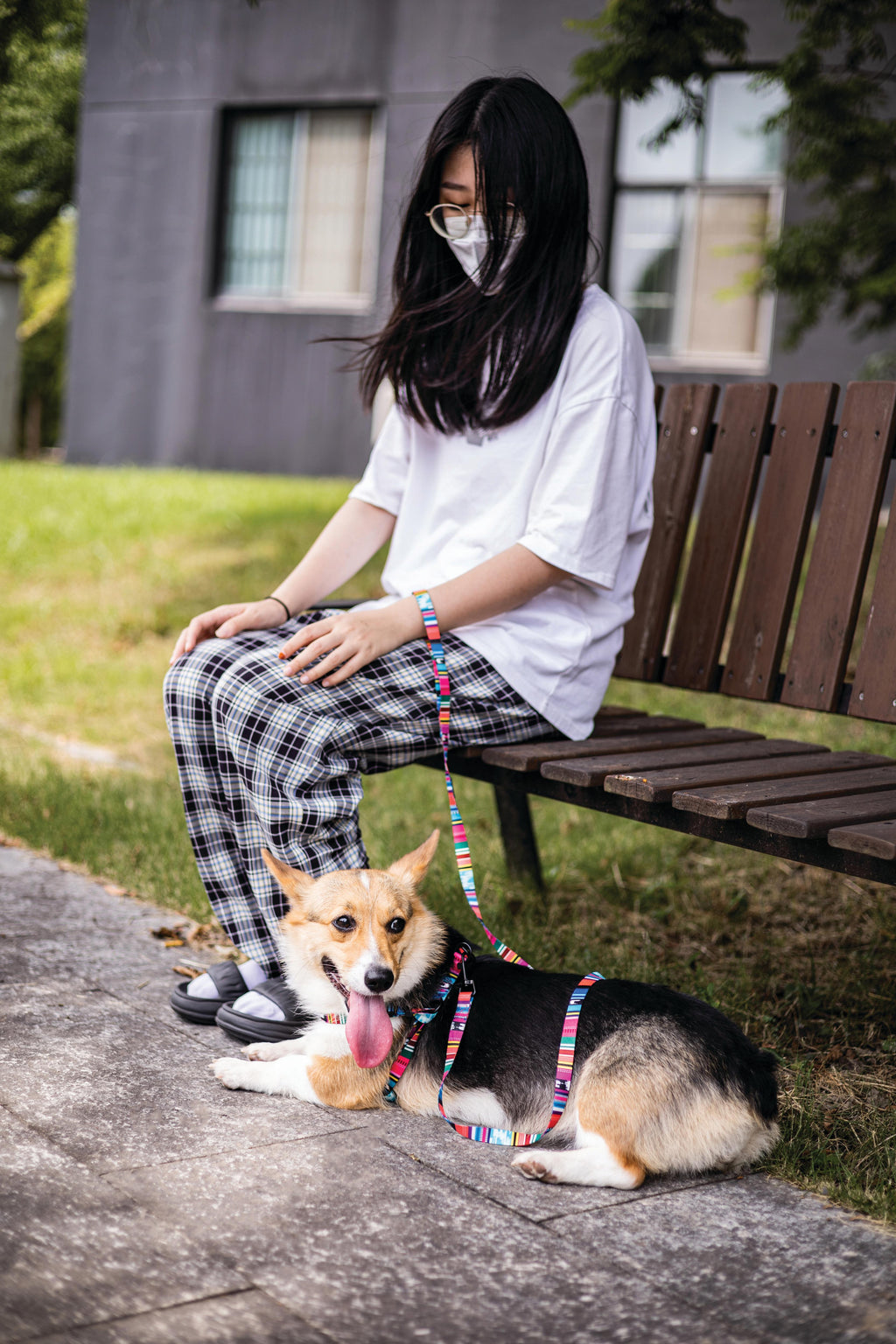 URBAN STYLE Jazz Stripes Harness