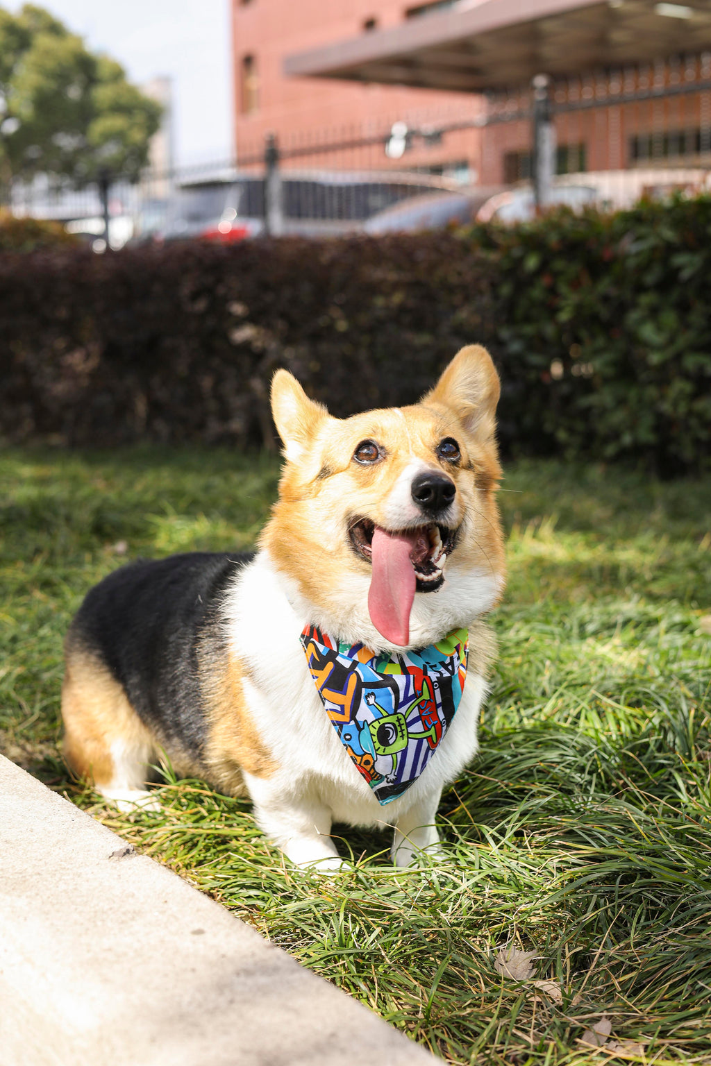 URBAN STYLE Freestyle Bandana