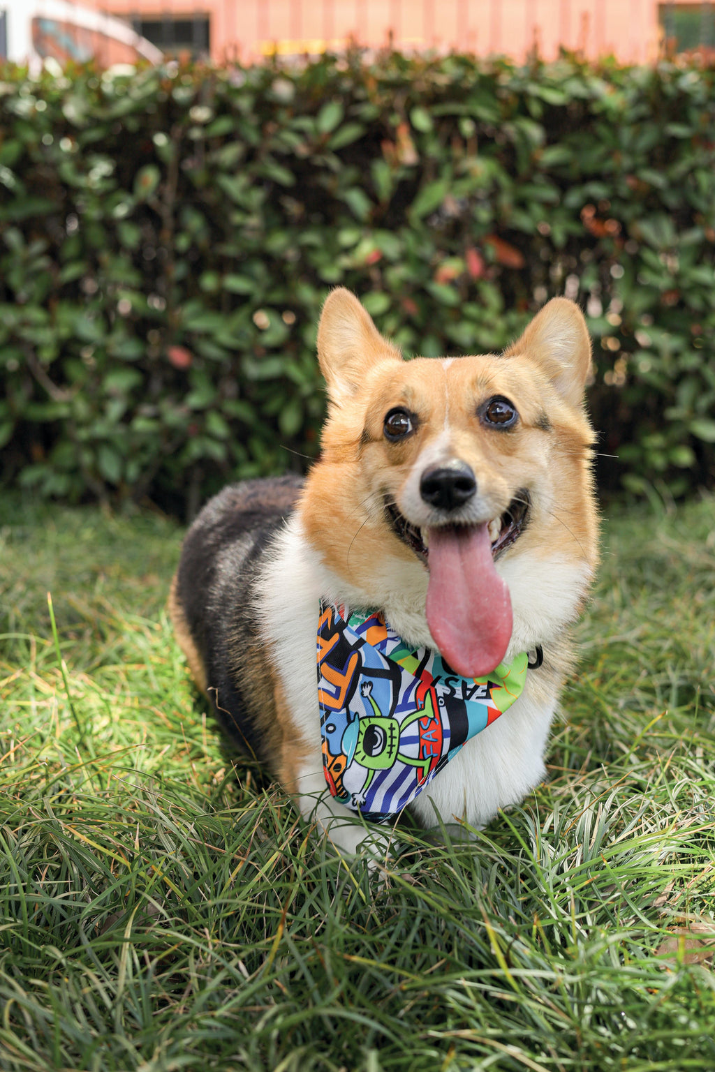 URBAN STYLE Freestyle Bandana