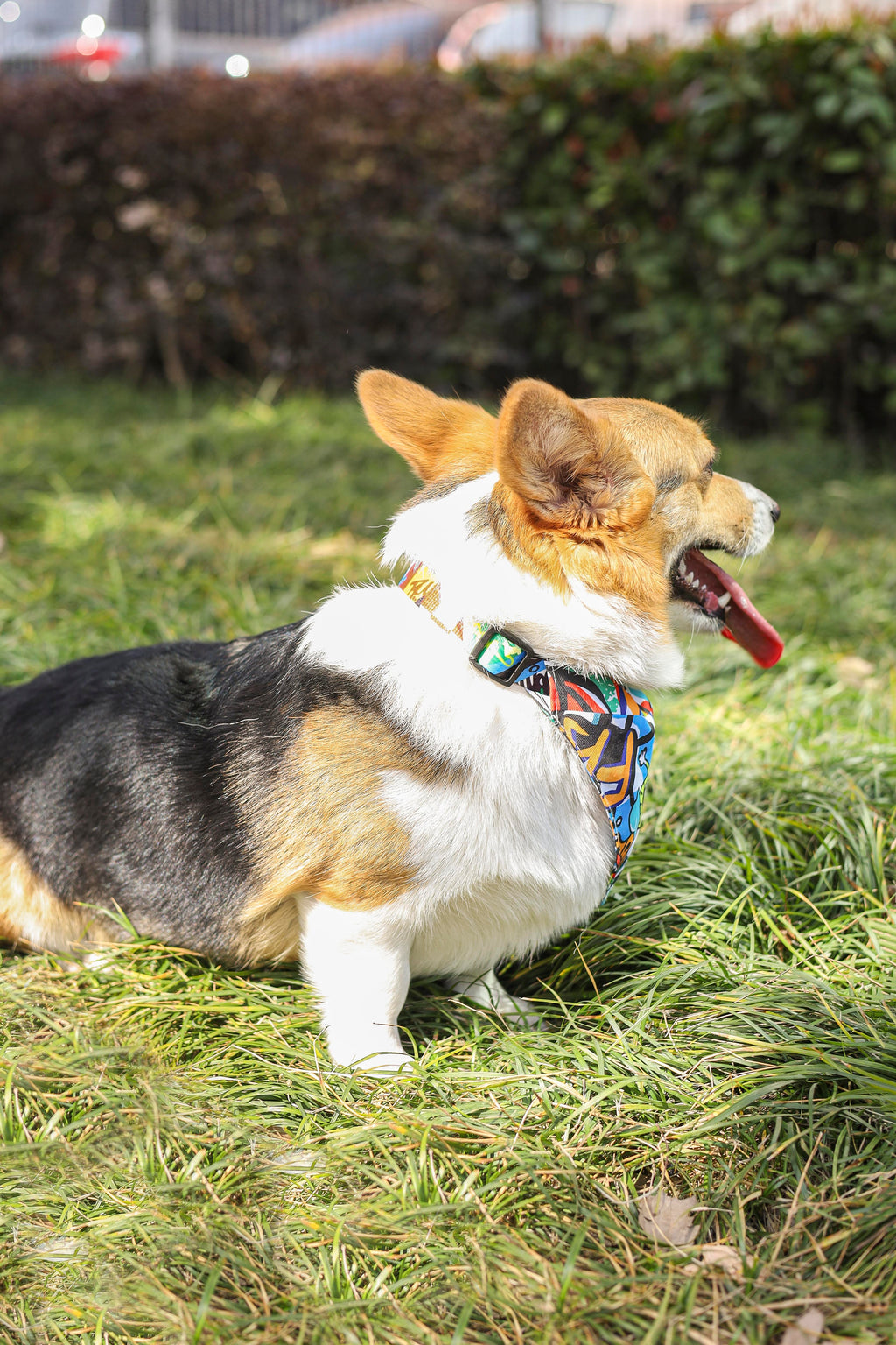 URBAN STYLE Freestyle Bandana