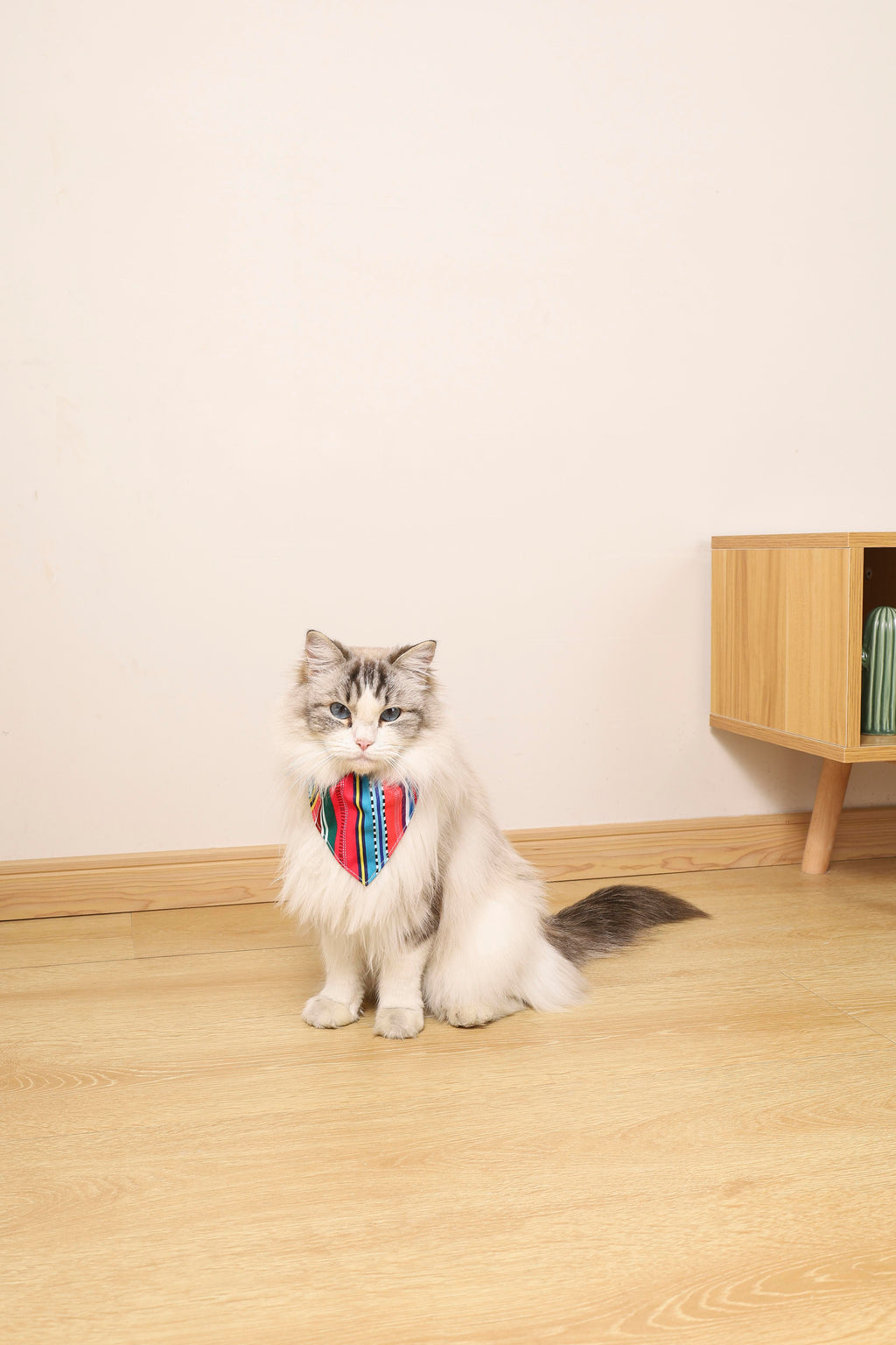 URBAN STYLE Jazz Stripes Bandana Collar