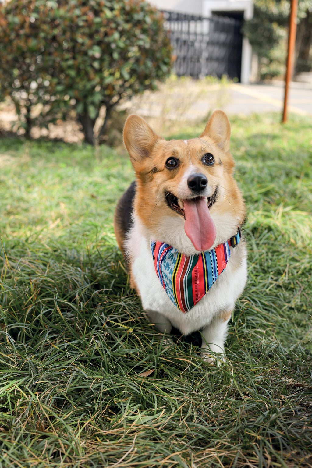 URBAN STYLE Jazz Stripes Bandana Collar