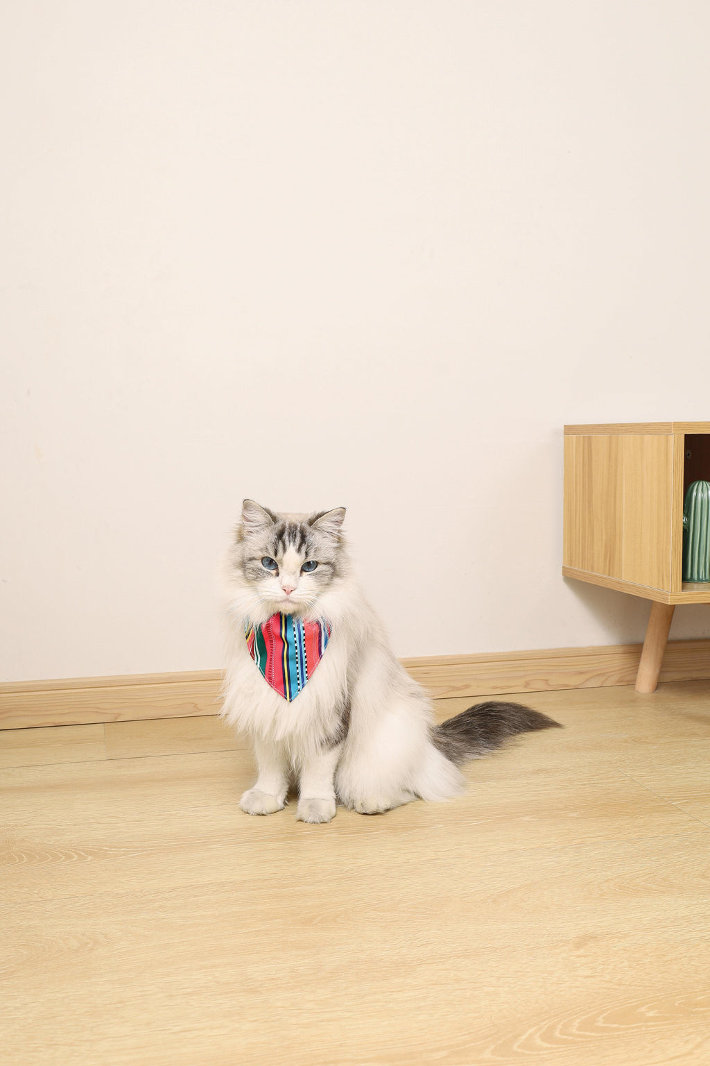 URBAN STYLE Jazz Stripes Bandana Collar