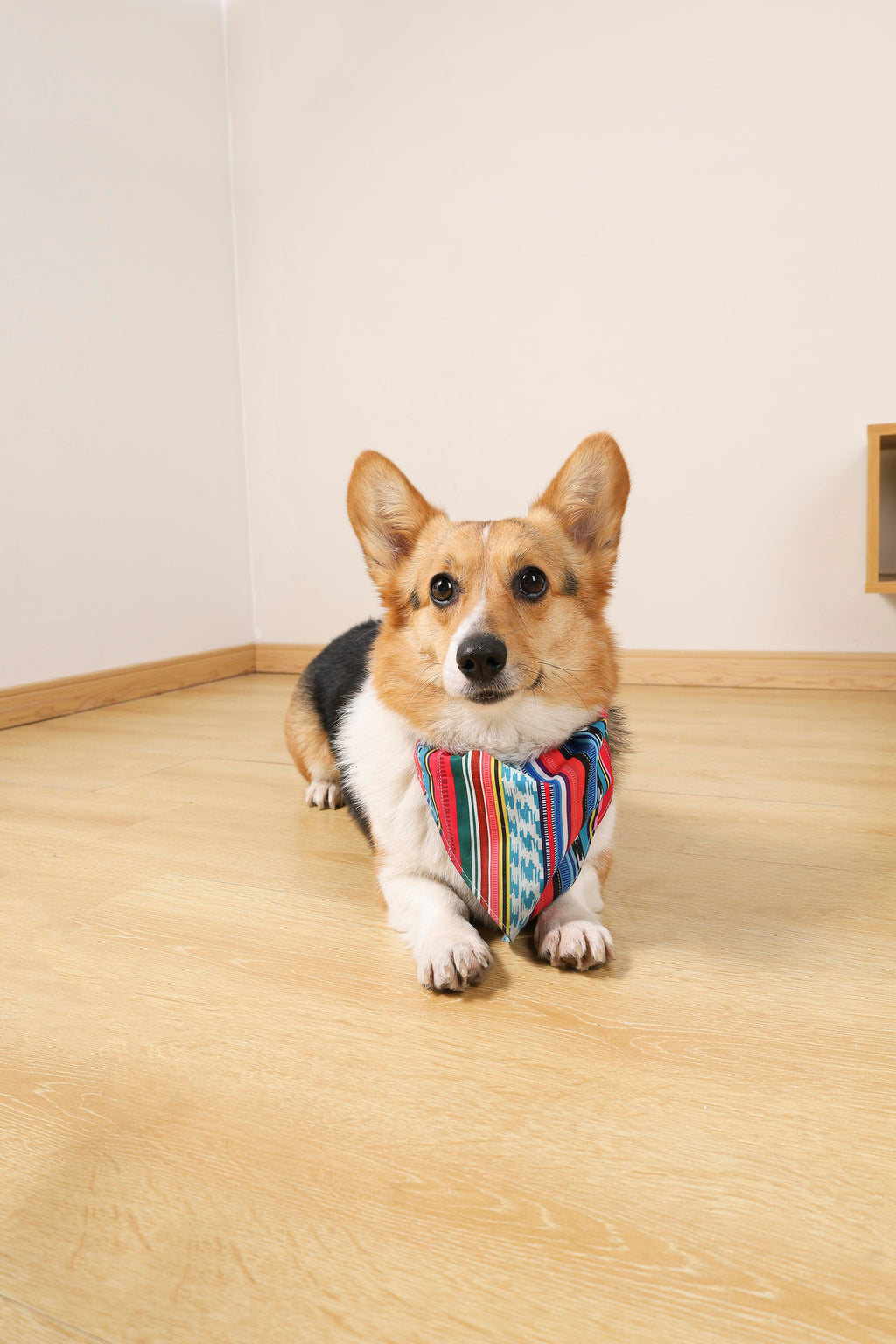 URBAN STYLE Jazz Stripes Bandana Collar