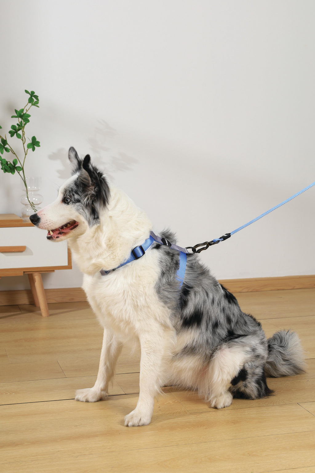 GENTLE DOG Harness Blue