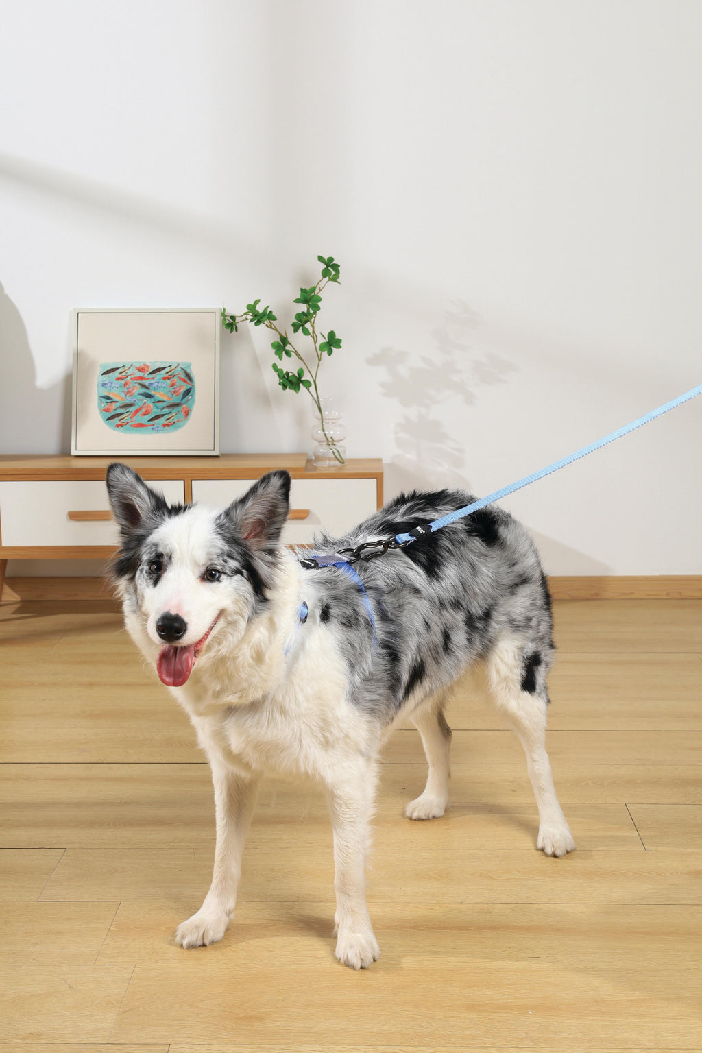 GENTLE DOG Harness Blue