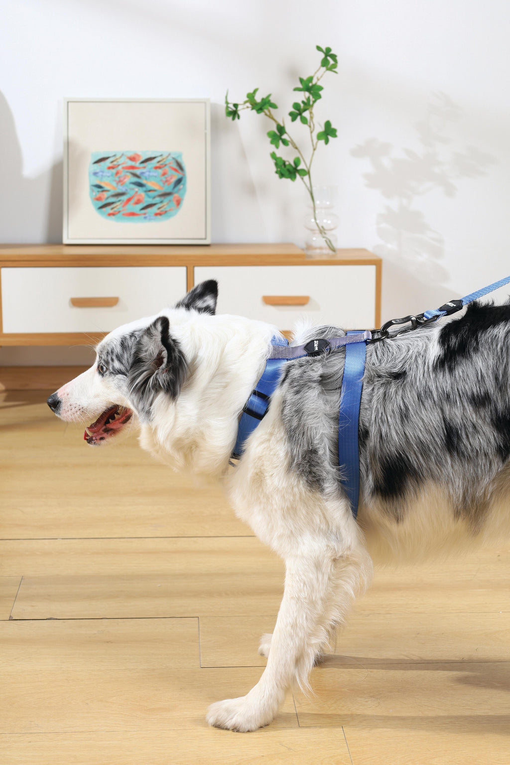 GENTLE DOG Harness Blue