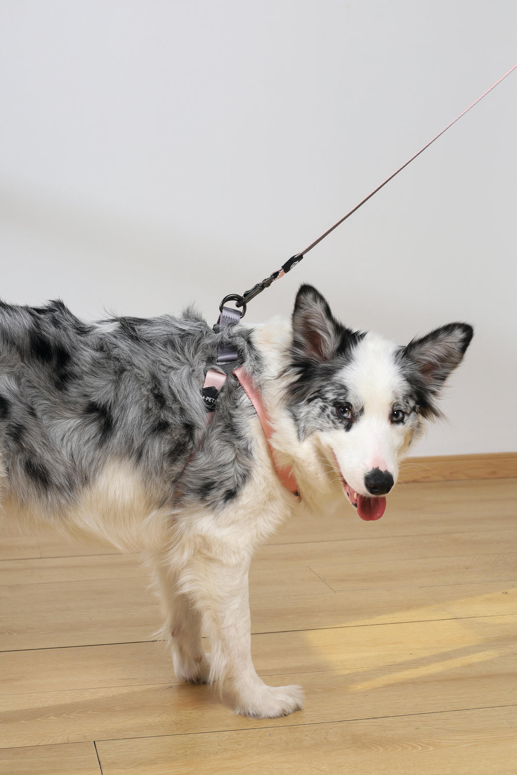 GENTLE DOG Triangle Harness Pink