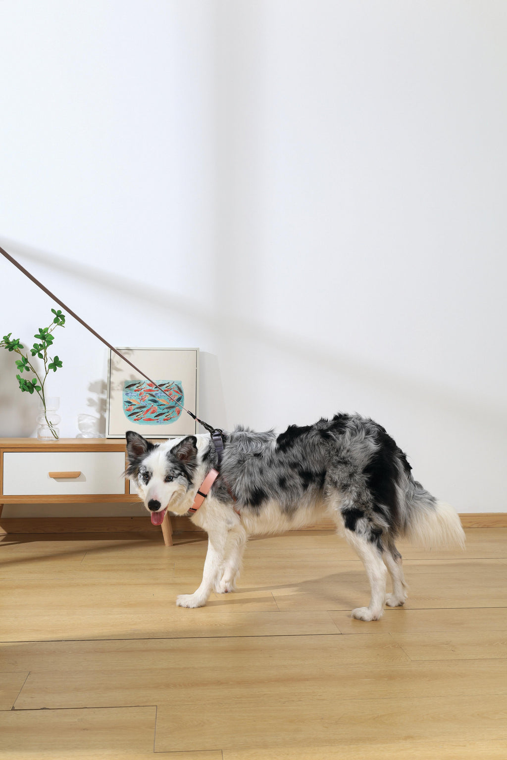 GENTLE DOG Triangle Harness Pink