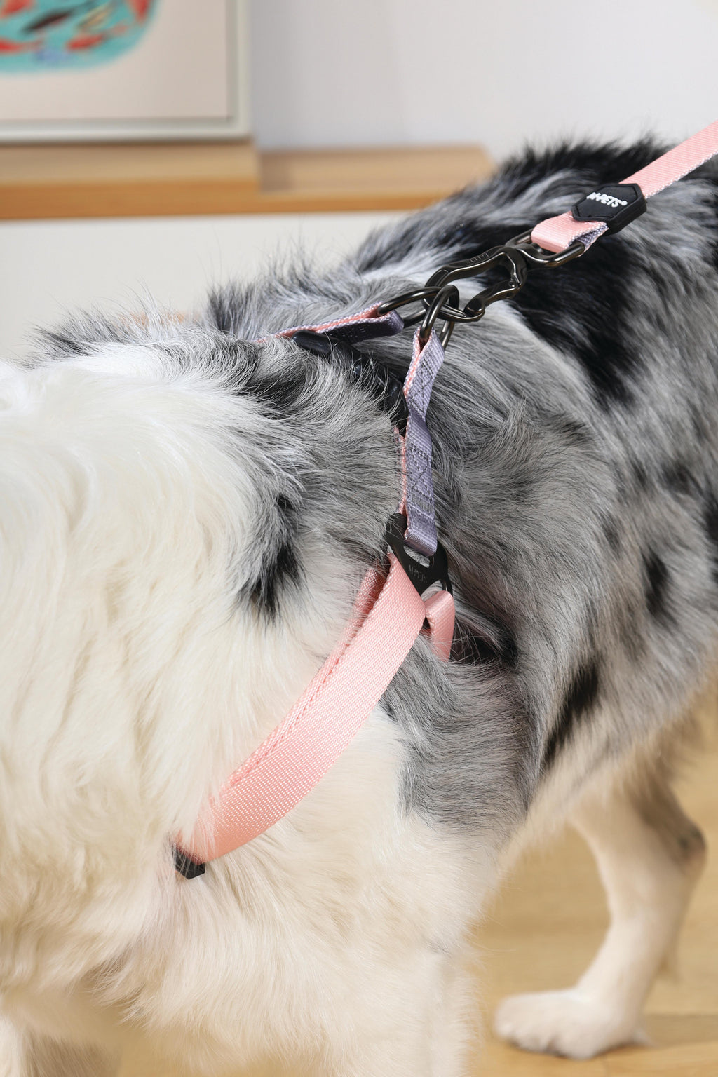 GENTLE DOG Triangle Harness Pink