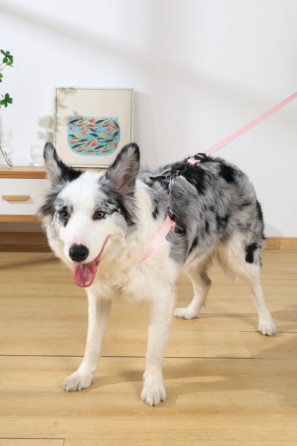 GENTLE DOG Triangle Harness Pink