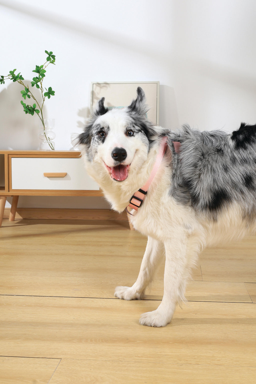 GENTLE DOG Triangle Harness Pink