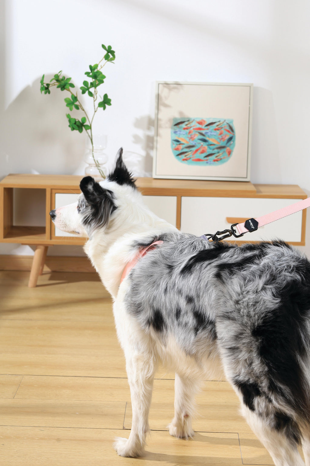 GENTLE DOG Triangle Harness Pink