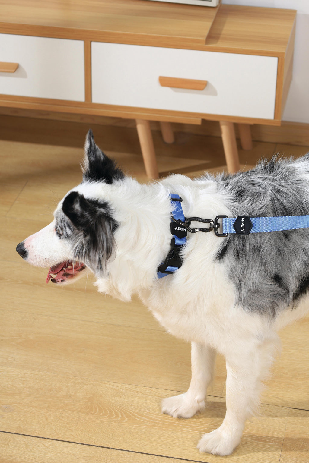 GENTLE DOG Leash Blue