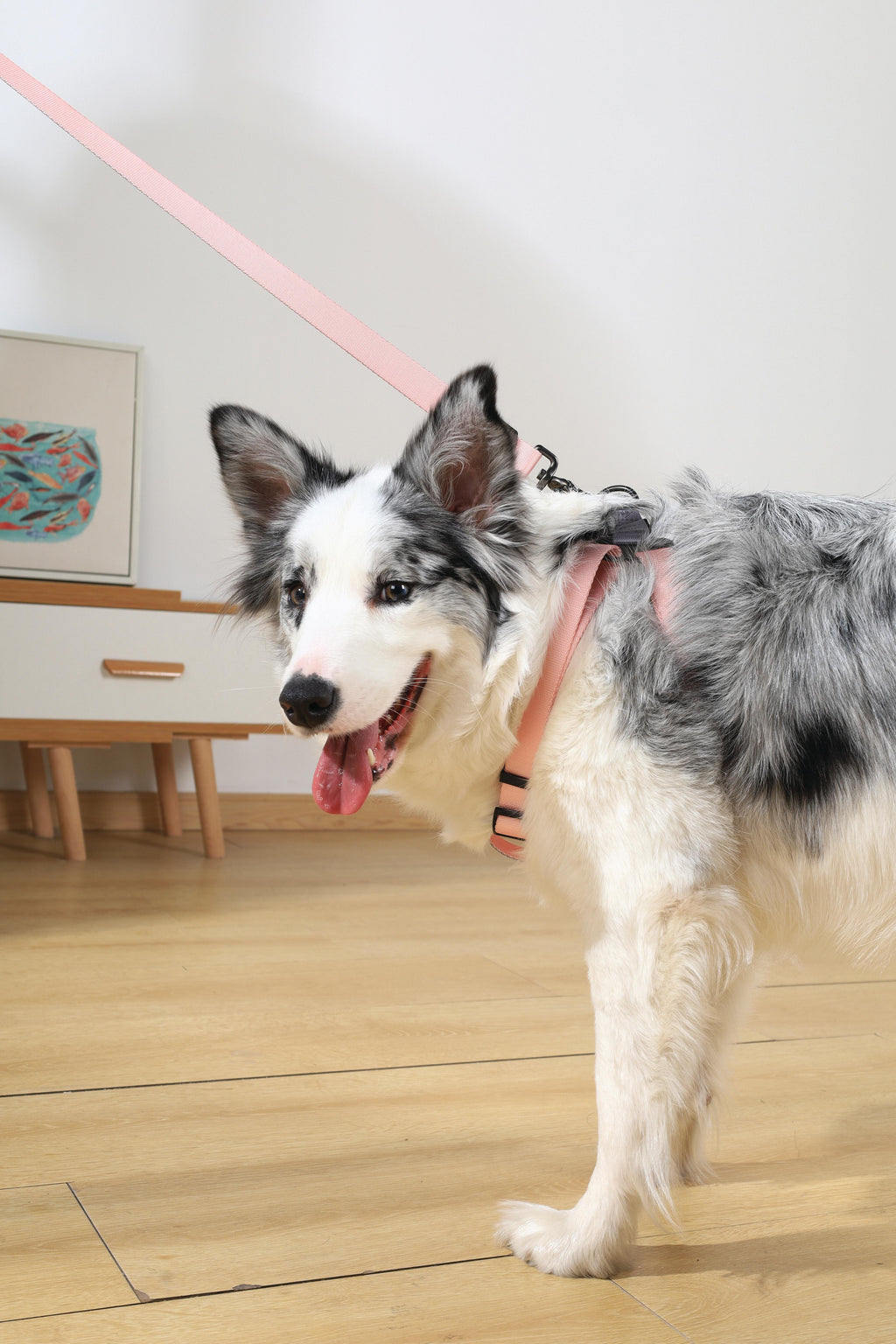 GENTLE DOG Leash Pink
