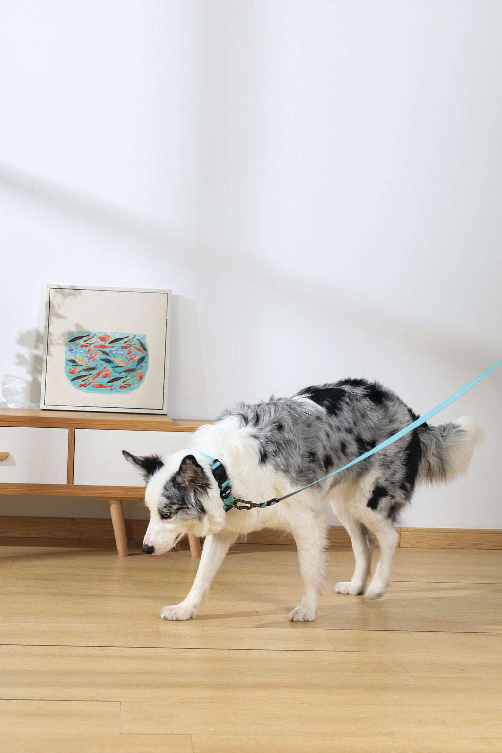 GENTLE DOG Leash Green