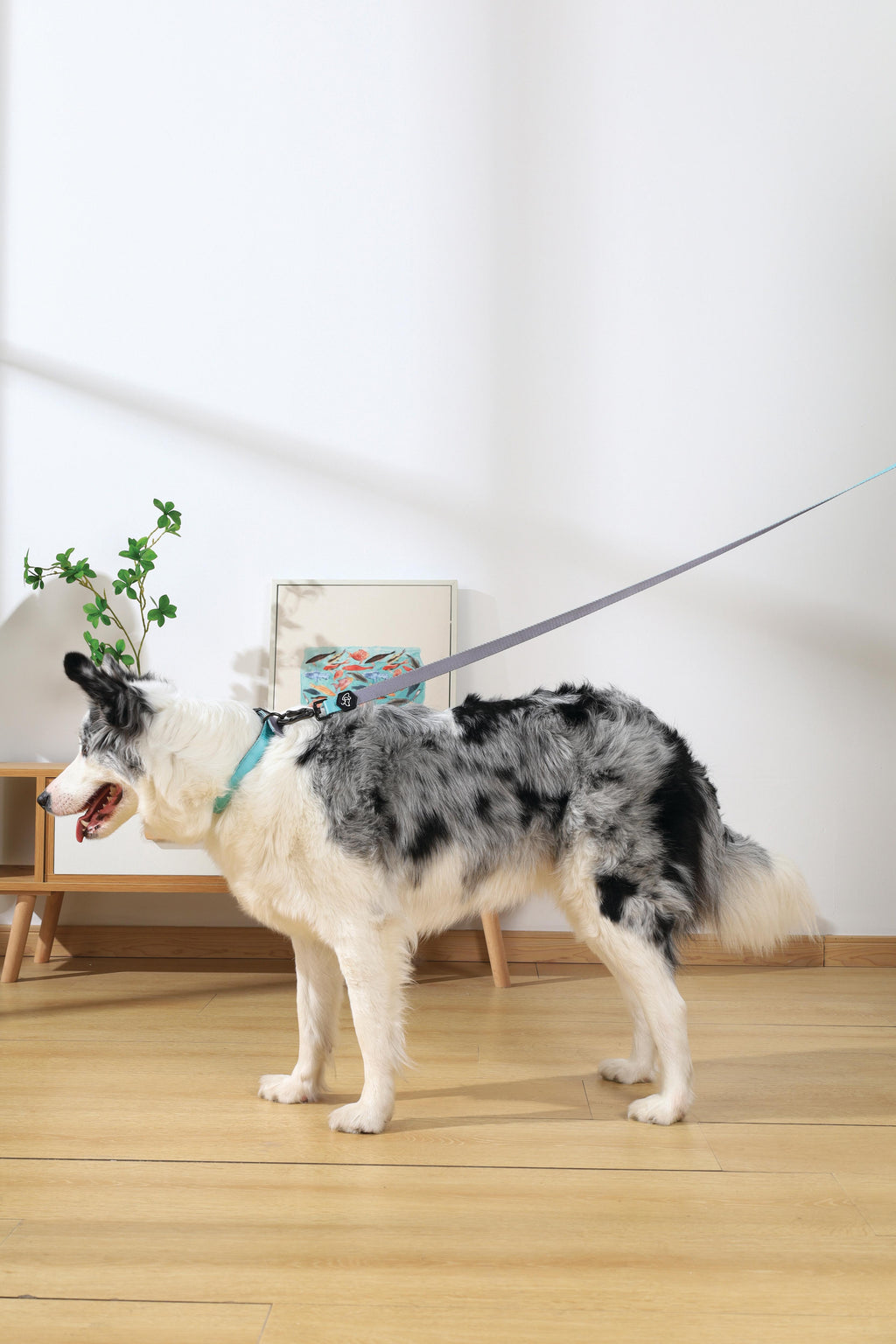 GENTLE DOG Leash Green