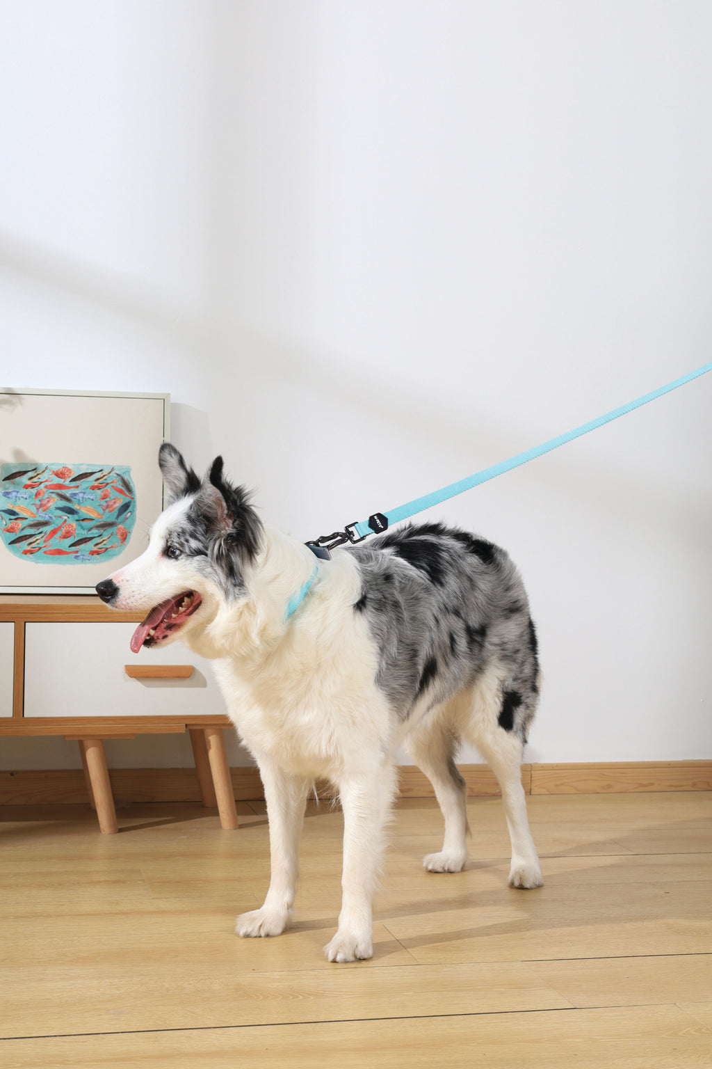 GENTLE DOG Leash Green