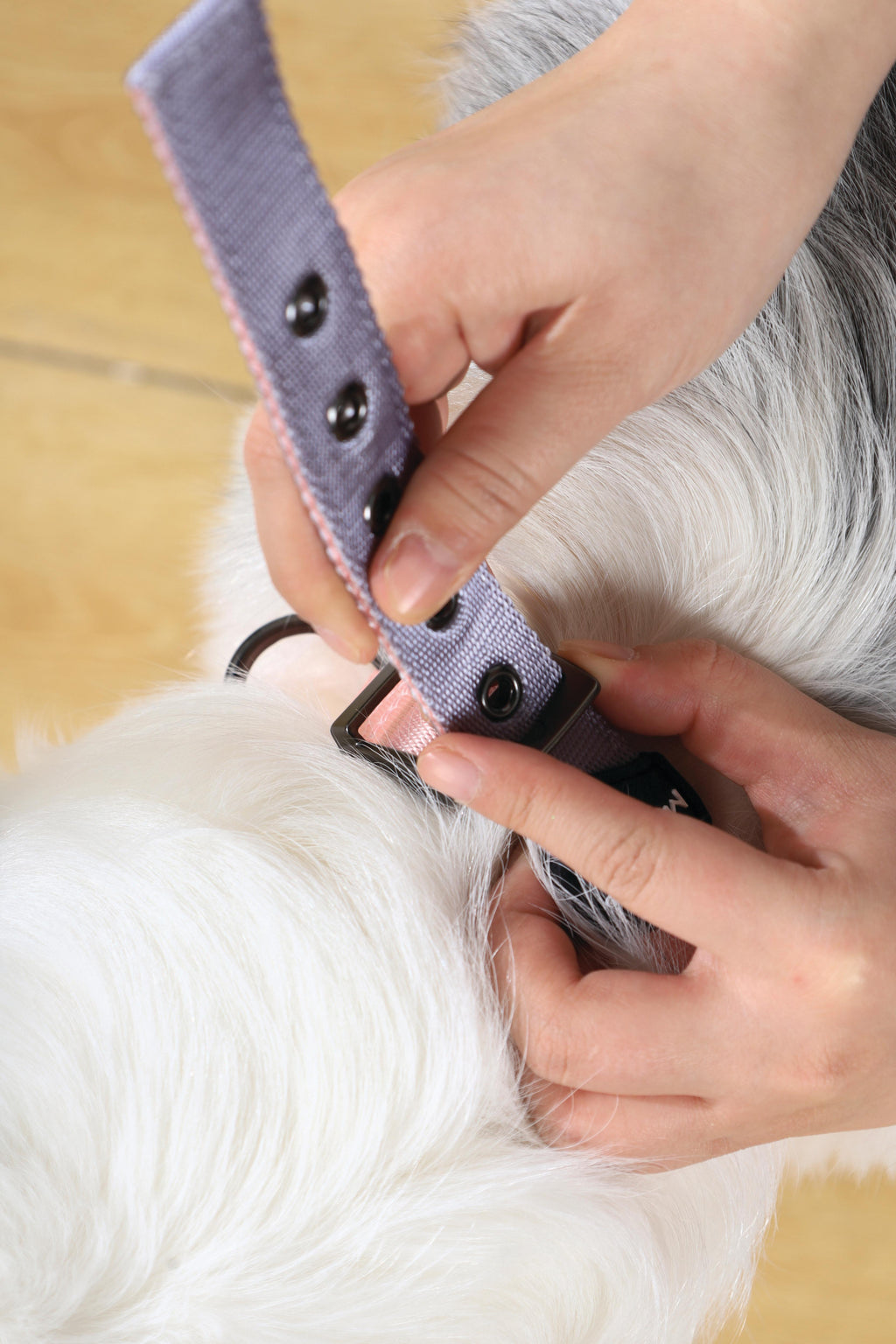 GENTLE DOG Padded Collar Pink