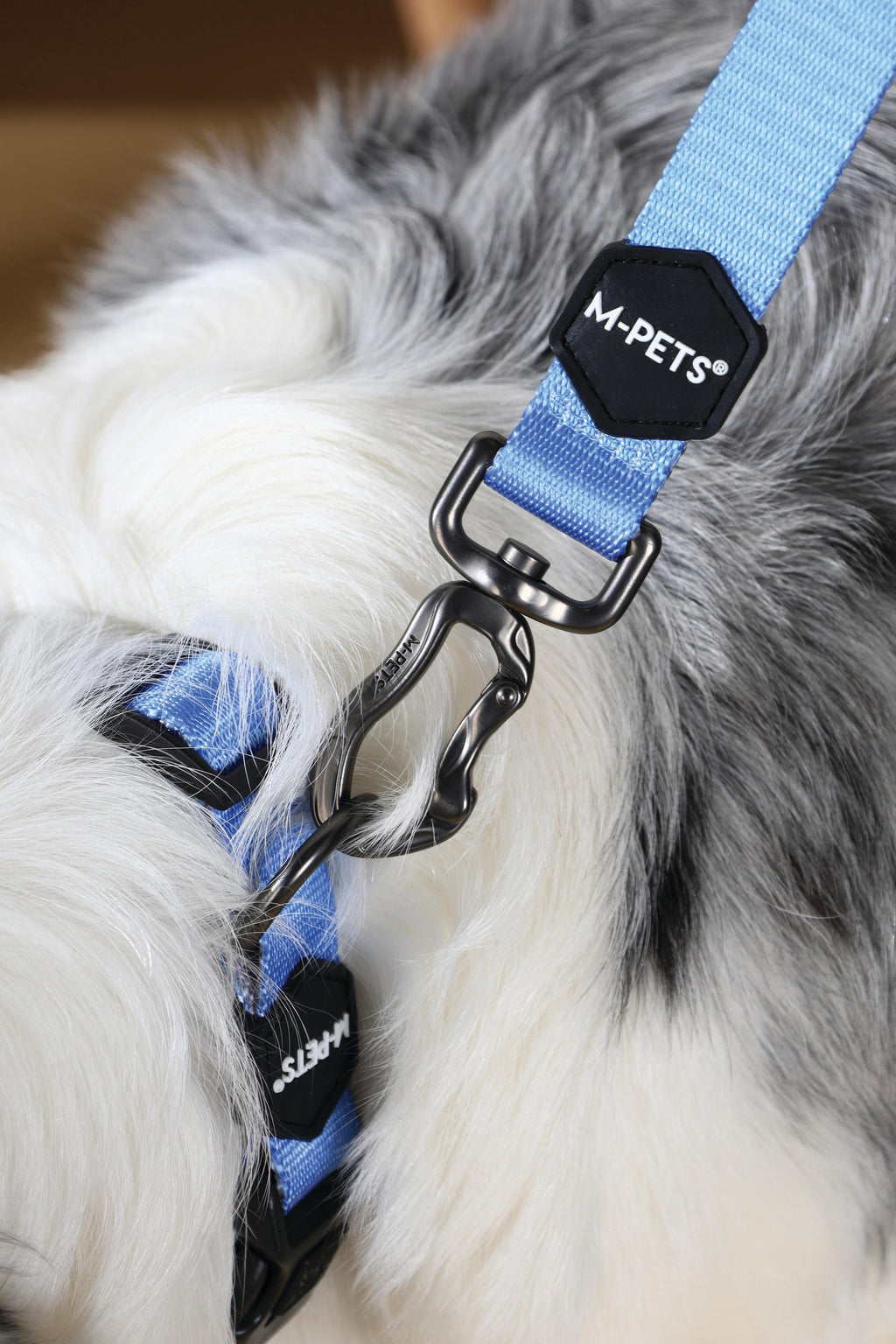 GENTLE DOG Collar Blue