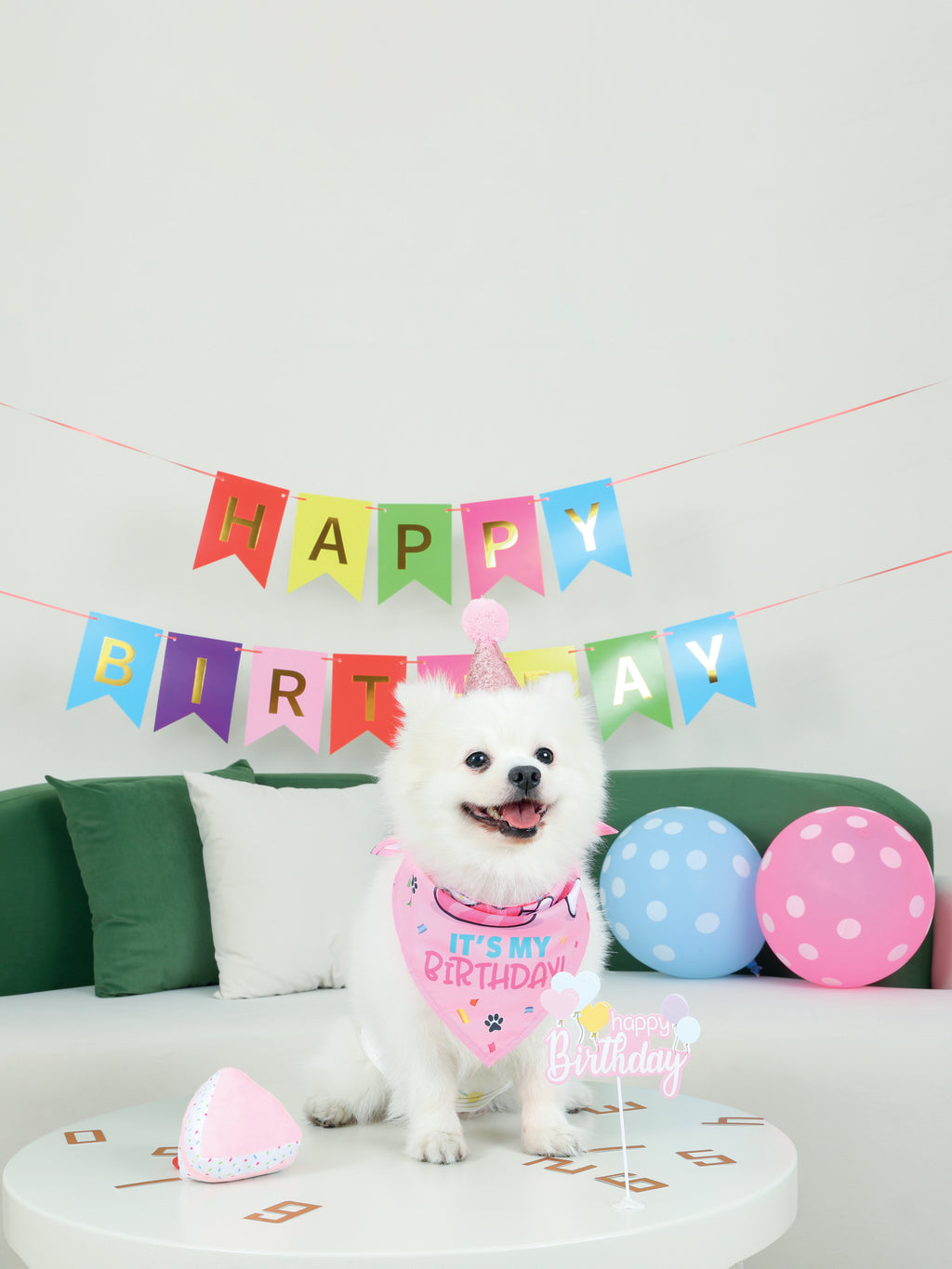 PARTY TIME DOG Lady's set