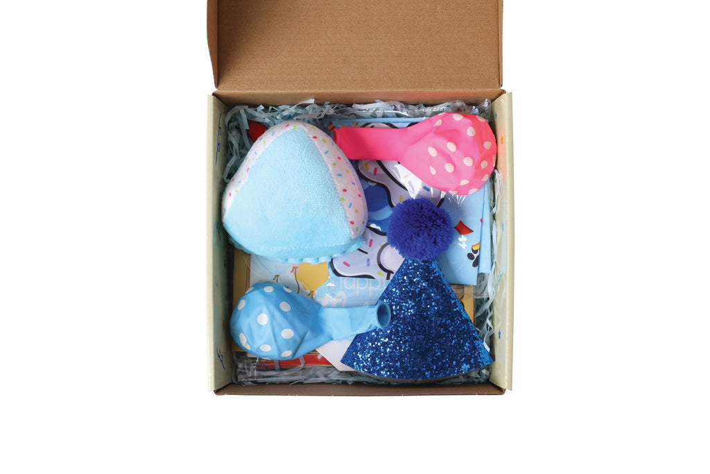 PARTY TIME Dog Gentleman's set