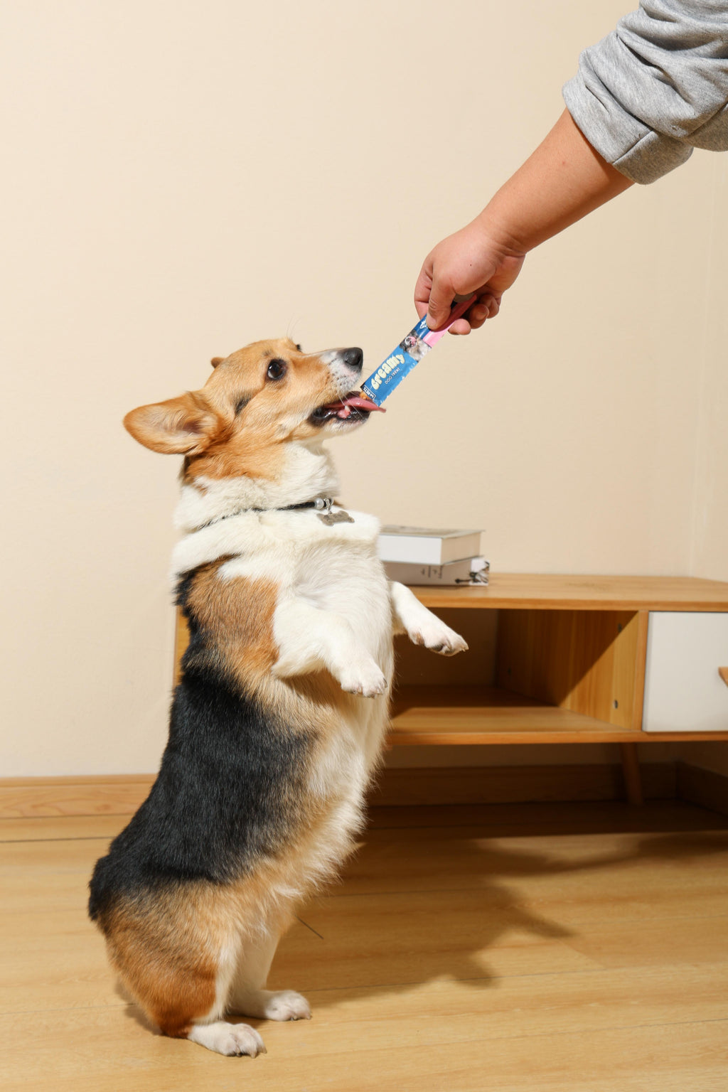 Creamy Treats for Dogs - Tuna & Shrimp