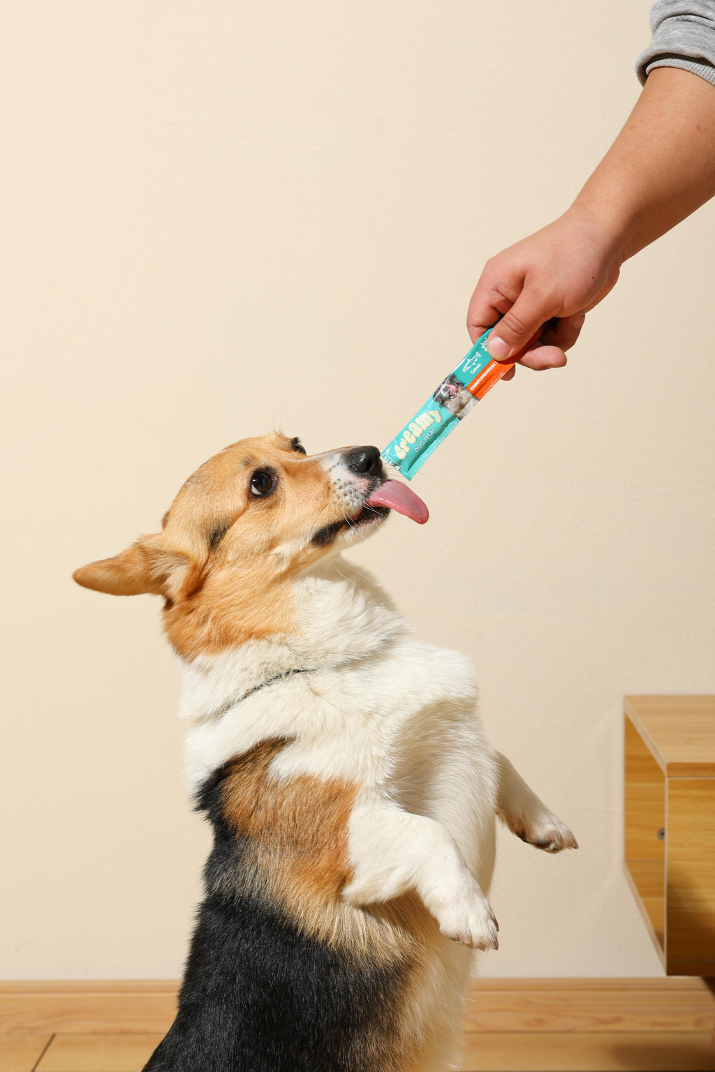 Creamy Treats for Dogs - Salmon & Beef