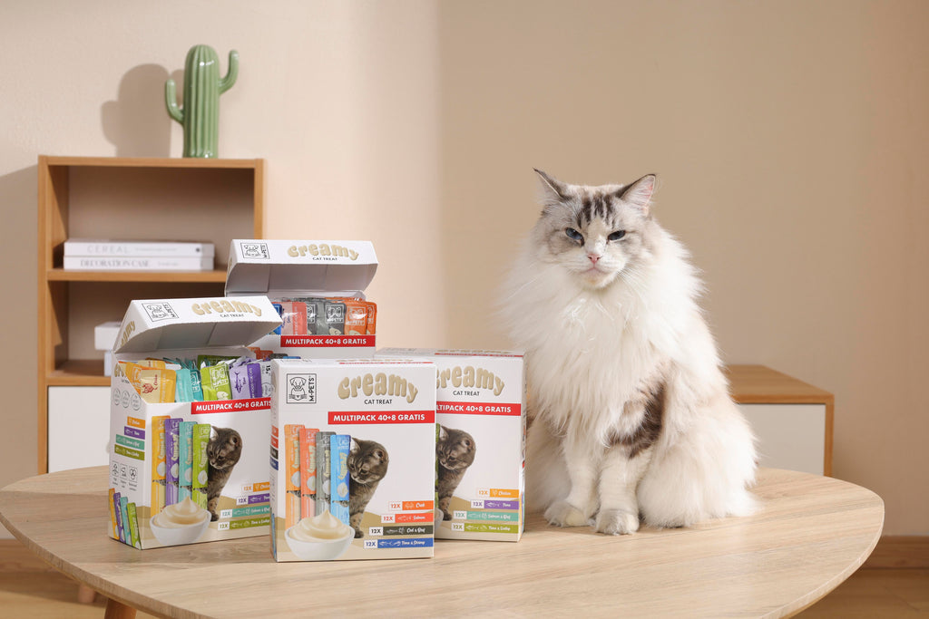 multipack 40 + 8 Gratis