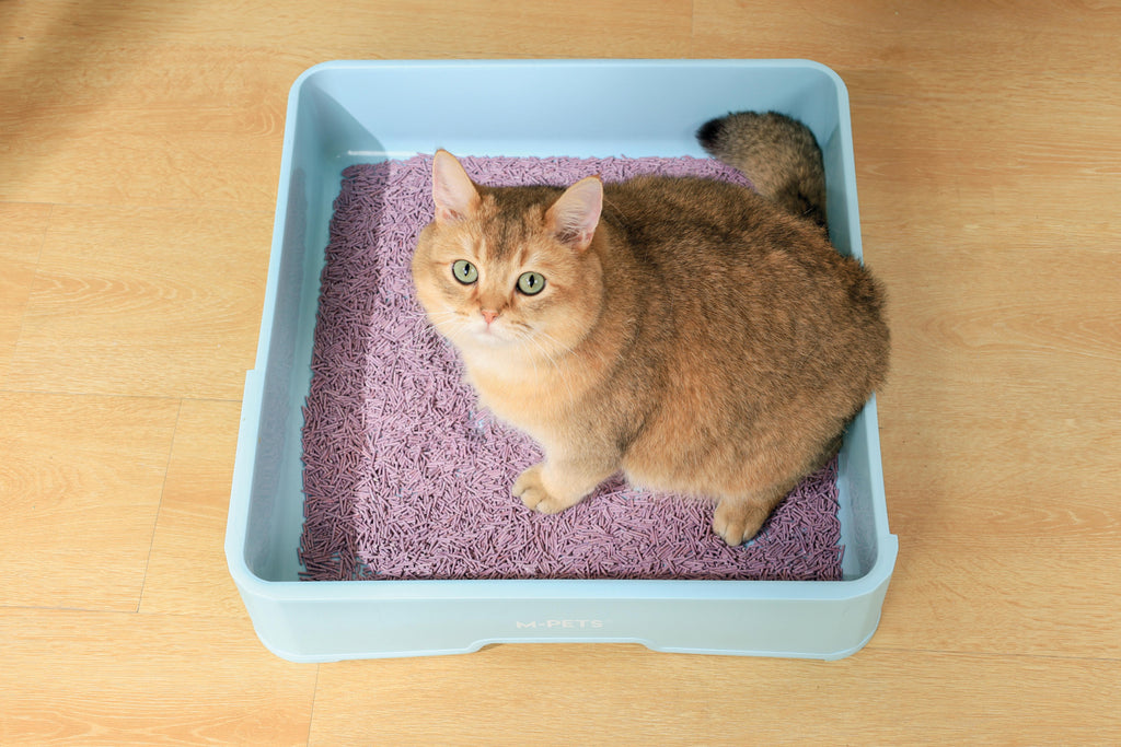 SOYA Organic Cat Litter Lavander