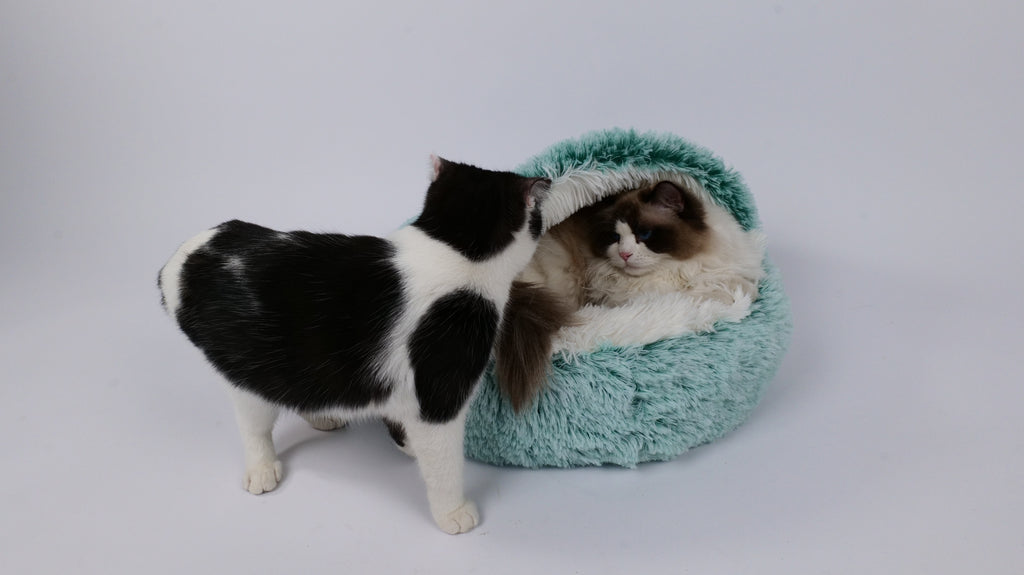 SNUGO ECO Cat Bed - Green