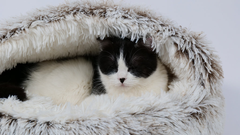 SNUGO ECO Cat Bed - Gray