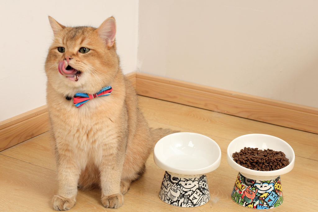 URBANSTYLE TILT'D Raised Ceramic Bowl White & Black