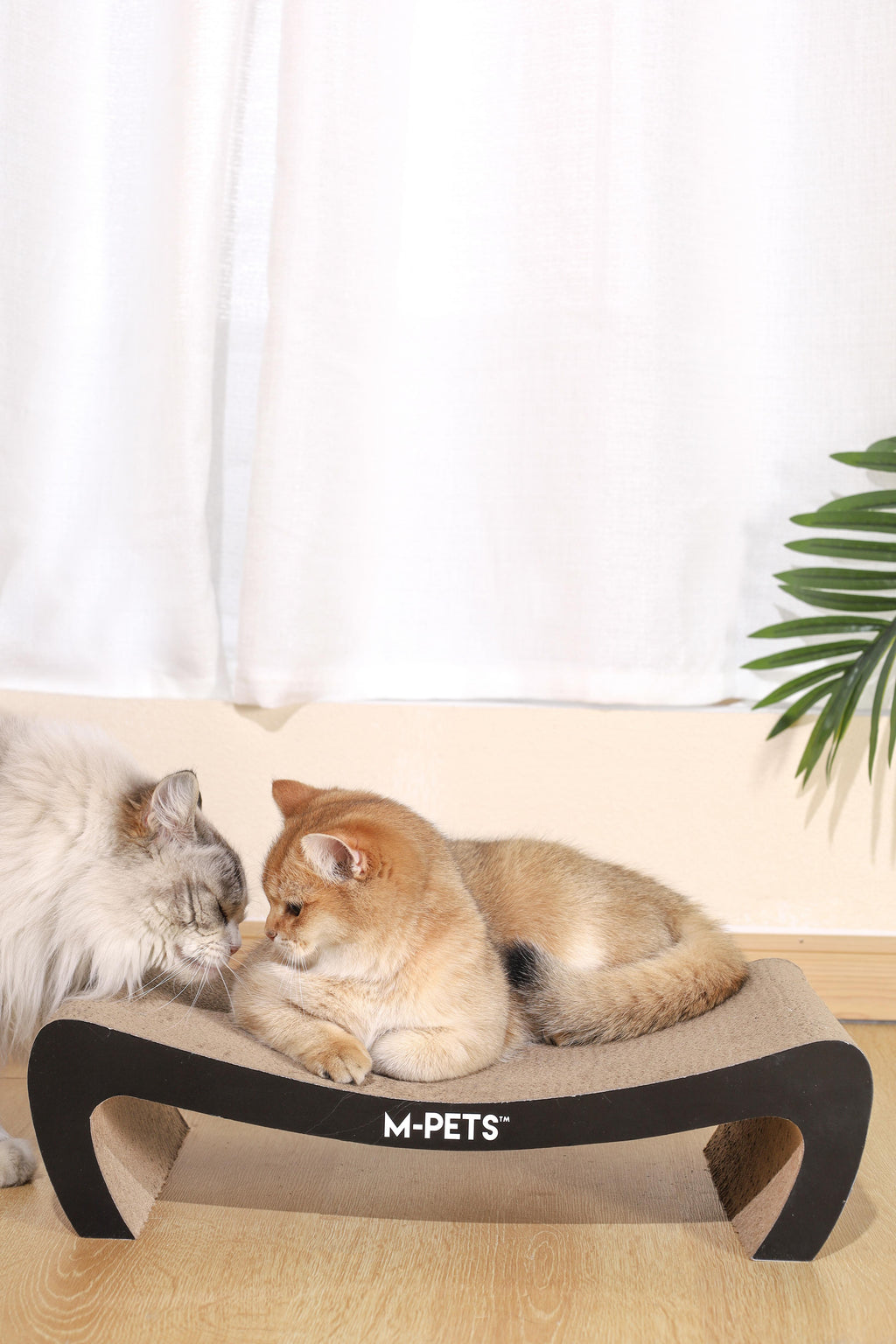 Mon chat grattoir en carton KANSAS