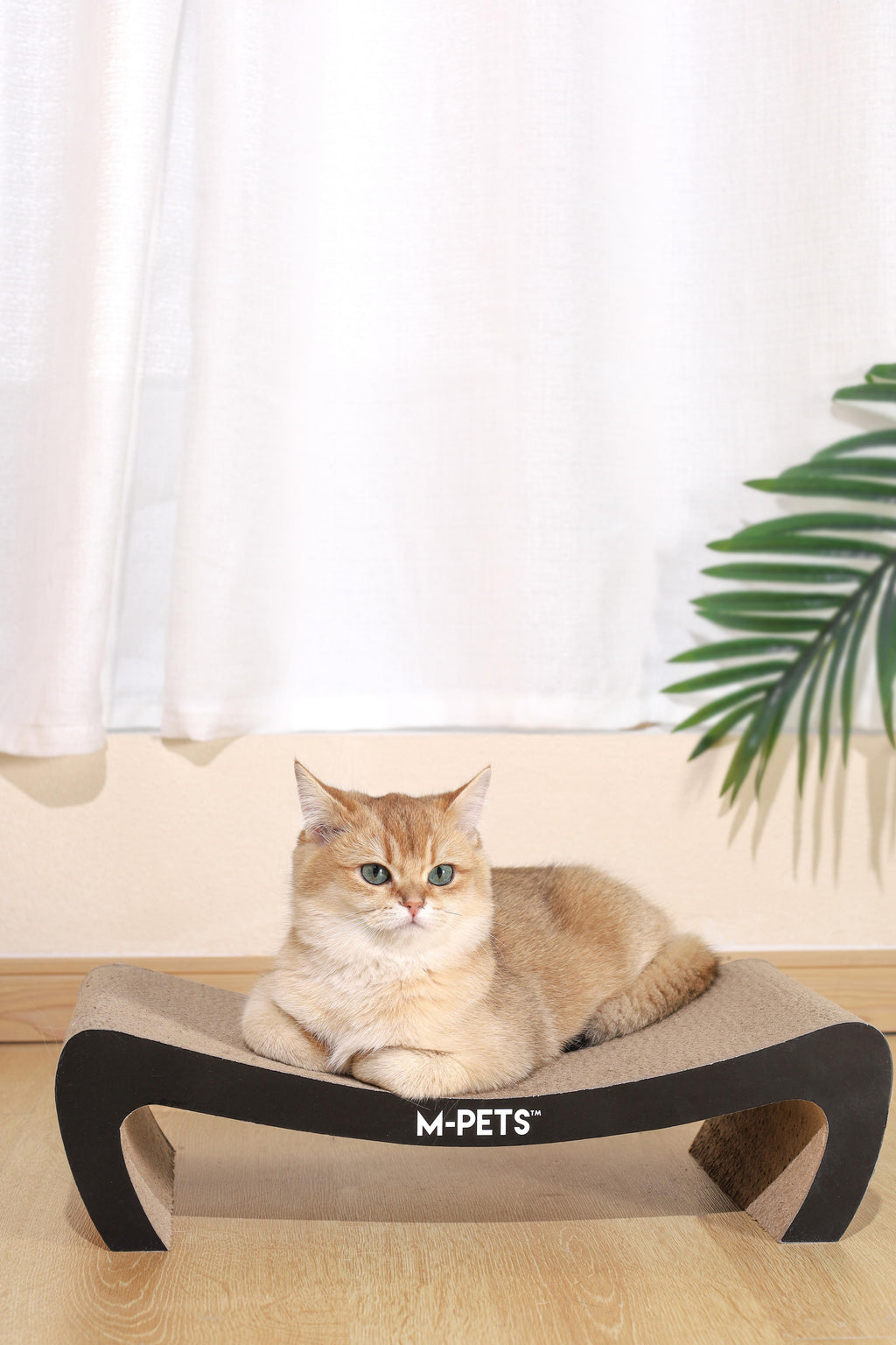 Mon chat grattoir en carton KANSAS