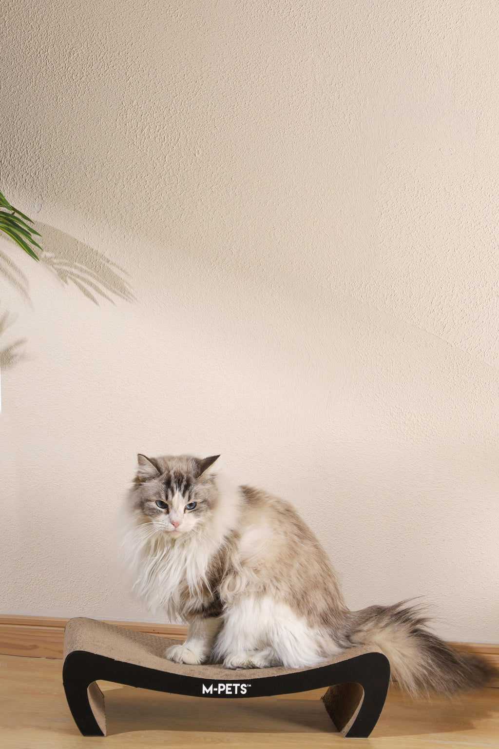 Mon chat grattoir en carton KANSAS