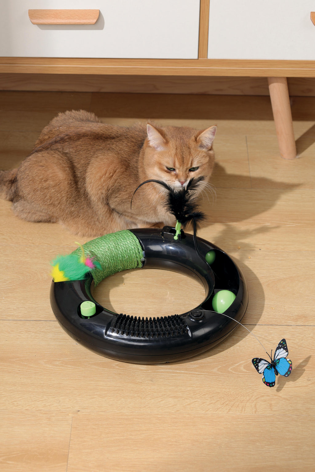 HALO ECO Cat toy