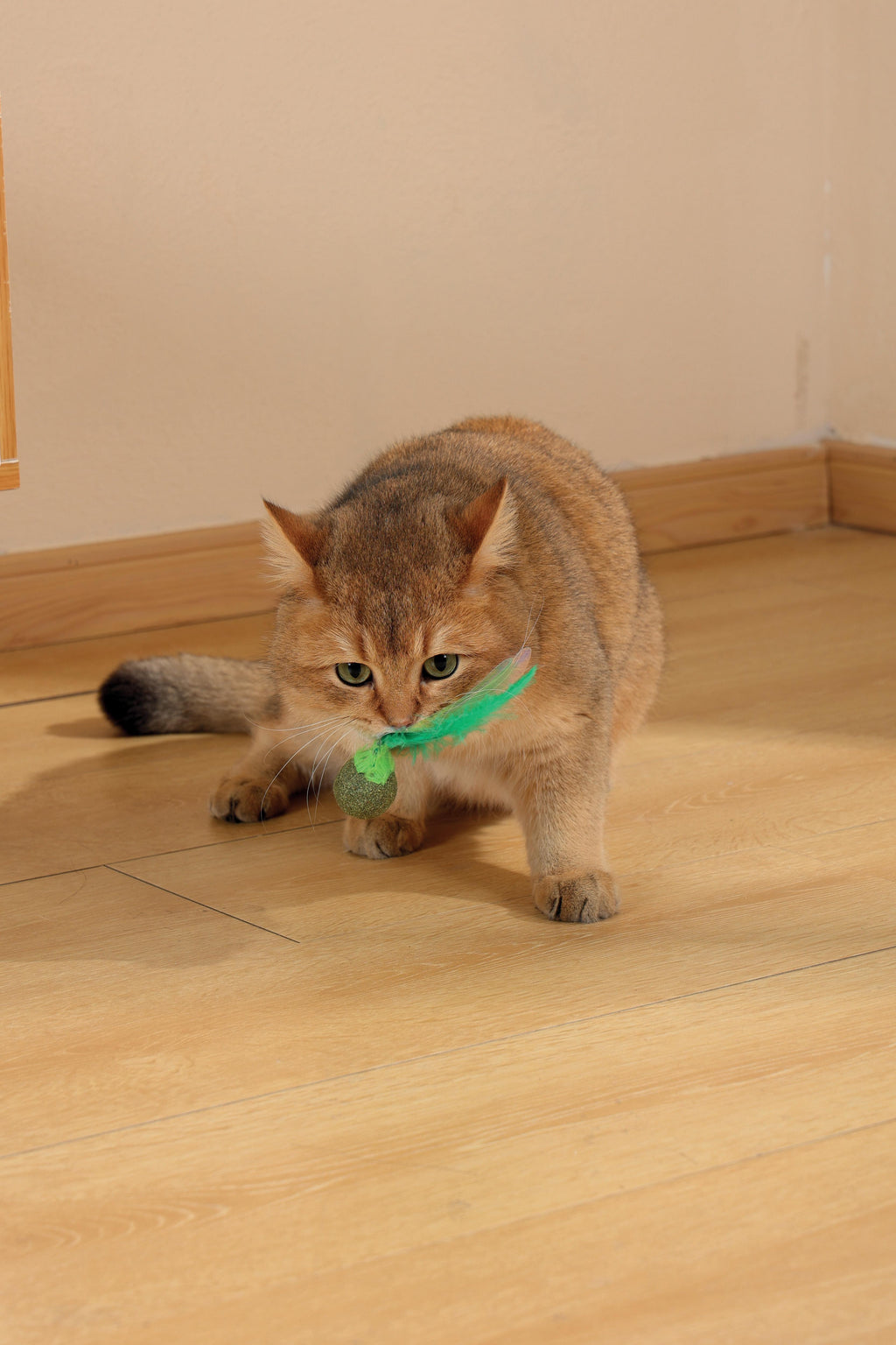 CHARMY Catnip Toy - FIREFLY Green