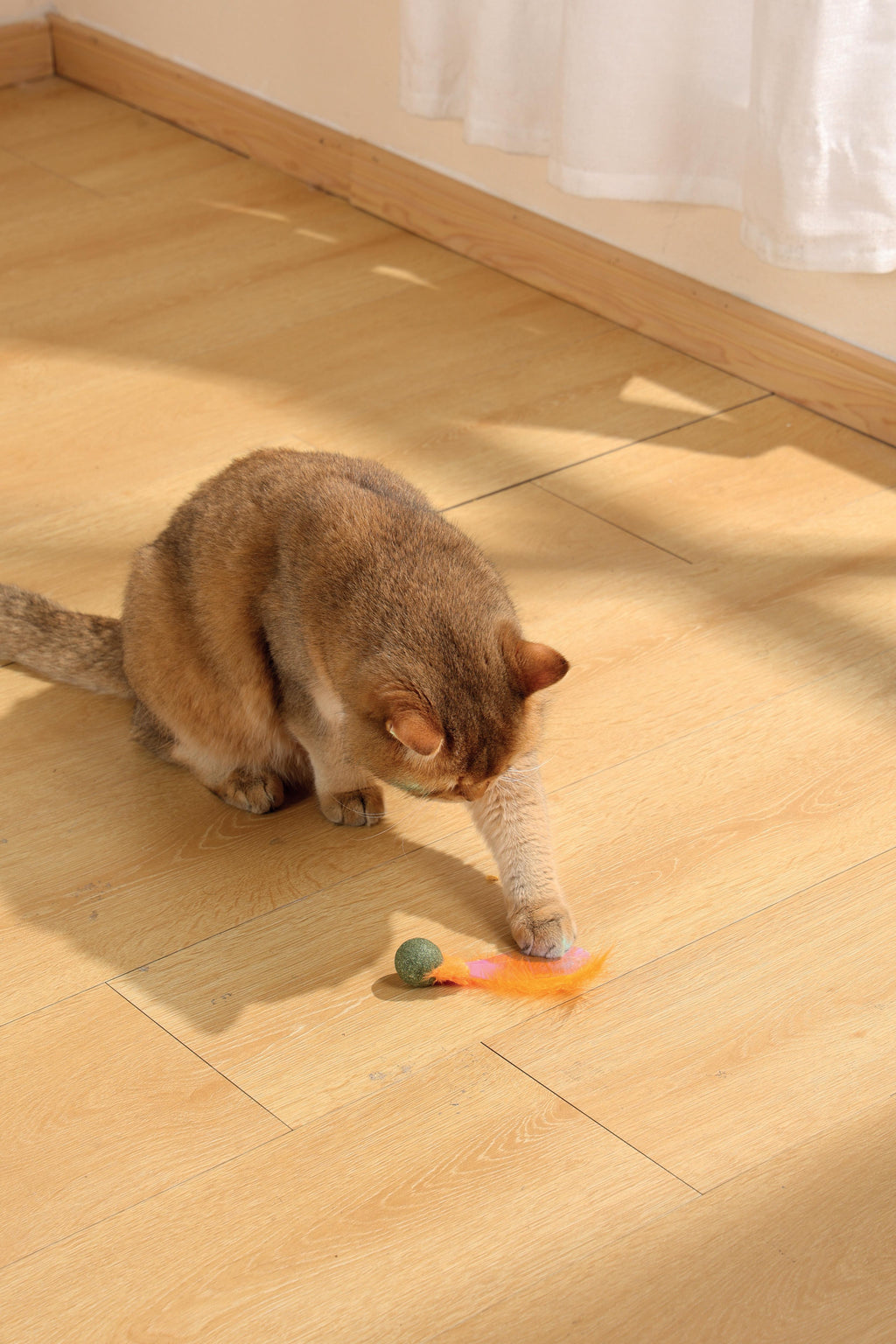 CHARMY Catnip Toy - FIREFLY Orange