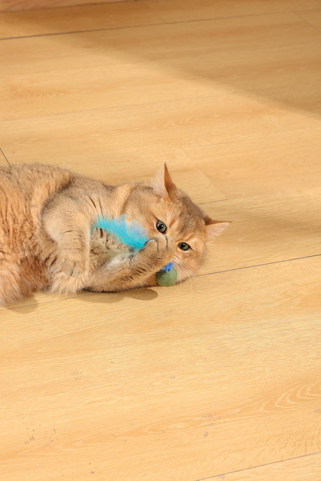 CHARMY Catnip Toy - FIREFLY Blue