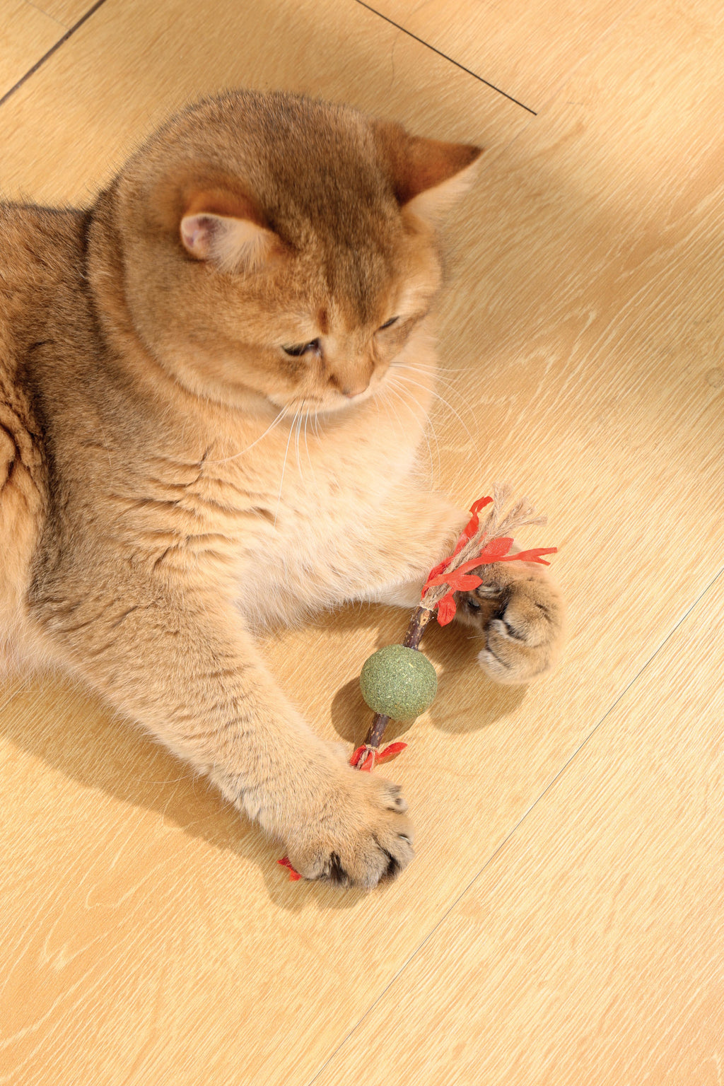 CHARMY Catnip Toy - TREE BRANCH Red