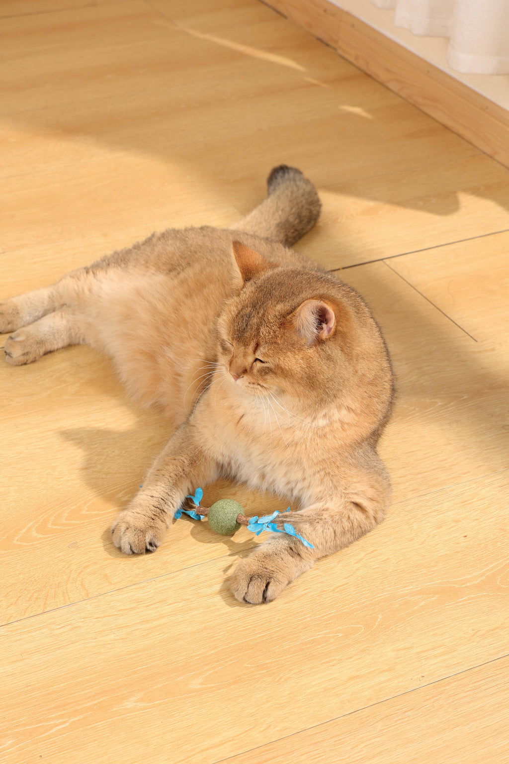 CHARMY Catnip Toy - TREE BRANCH Blue